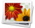 Web Galerie Extras